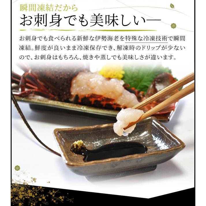 松阪牛 伊勢海老 詰合せ 美し国 三重 伊勢路 −極−ギフト パッケージ Ａ５ランク厳選 松阪牛 特選 すき焼き 肉 ３００ｇ 三重県産 伊勢海老 ２尾 詰合せ_7