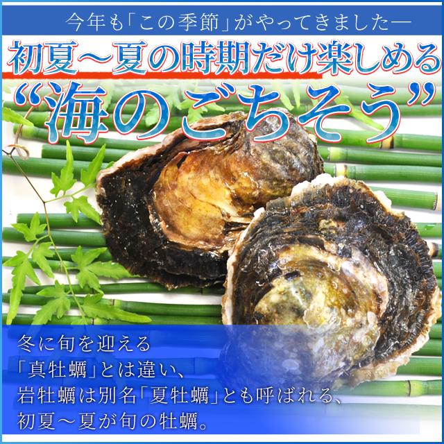 生食用 伊勢志摩産 岩牡蠣 １０個 １個あたり１５０ ２００ｇ 送料無料 身入り厳選 牡蠣ナイフ 軍手付 夏季限定 Iwagaki M10 伊勢鳥羽志摩特産横丁 通販 Yahoo ショッピング