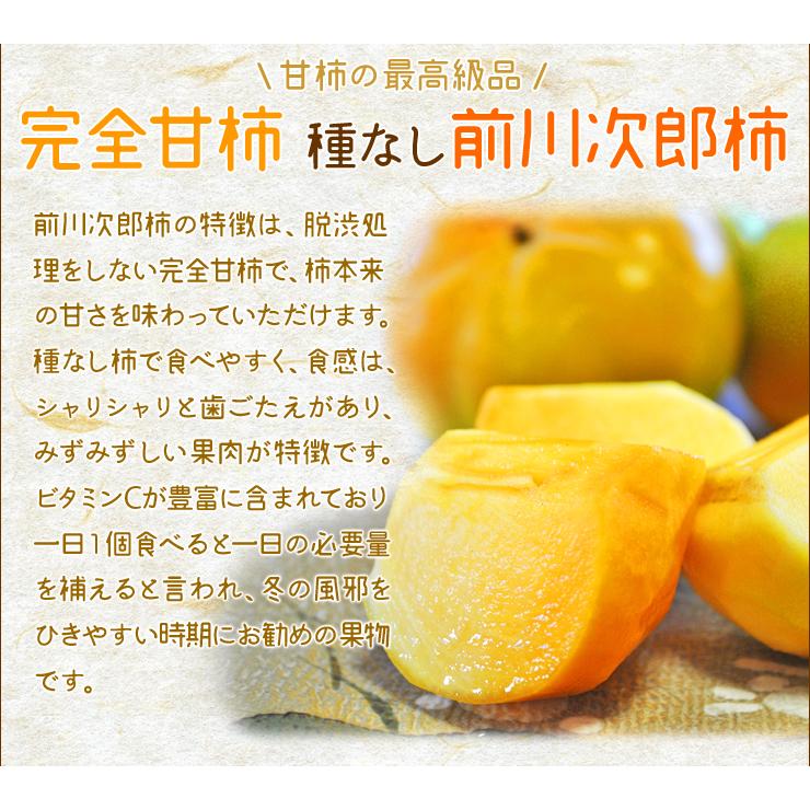 次郎柿 10kg 送料無料 伊勢の特産品 前川次郎柿 種なし甘柿の最