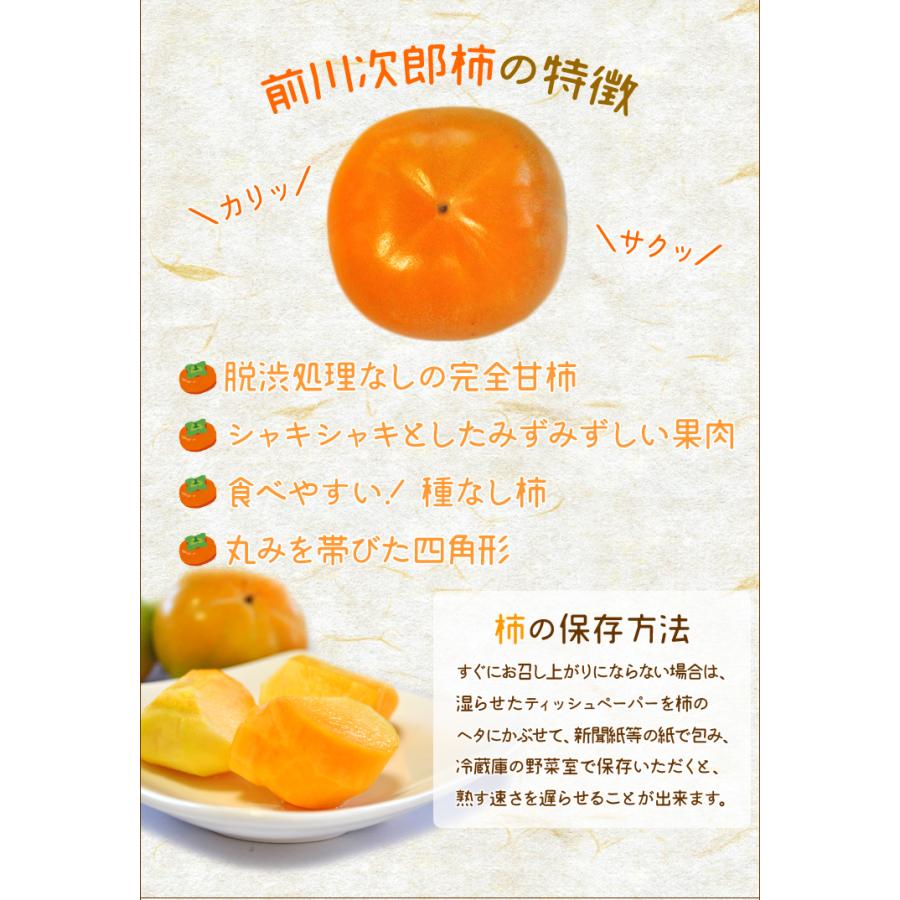 次郎柿 10kg 送料無料 伊勢の特産品 前川次郎柿 種なし甘柿の最