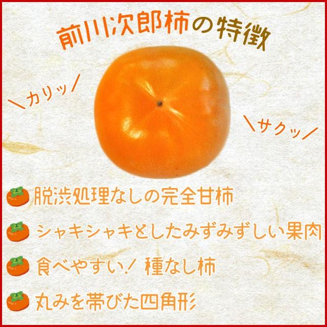次郎柿 ６ｋｇ 送料無料 伊勢の特産品 前川次郎柿 契約農家限定品 種なし甘柿の最高級品が無選別の訳あり特価 冬季限定 Jirou6kg 伊勢鳥羽志摩特産横丁 通販 Yahoo ショッピング