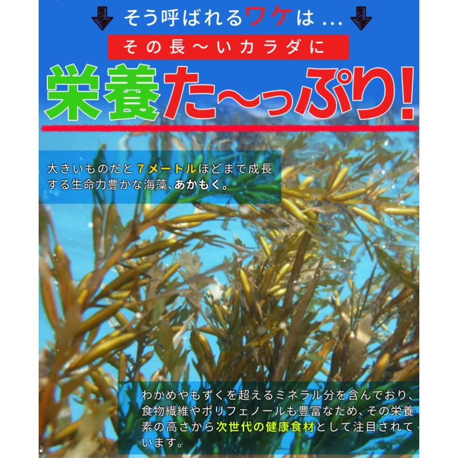 あかもく 離島 乾燥 アカモク ８０ｇ 伊勢志摩の離島で収穫 送料無料 ギバサ 海藻｜isesima｜06