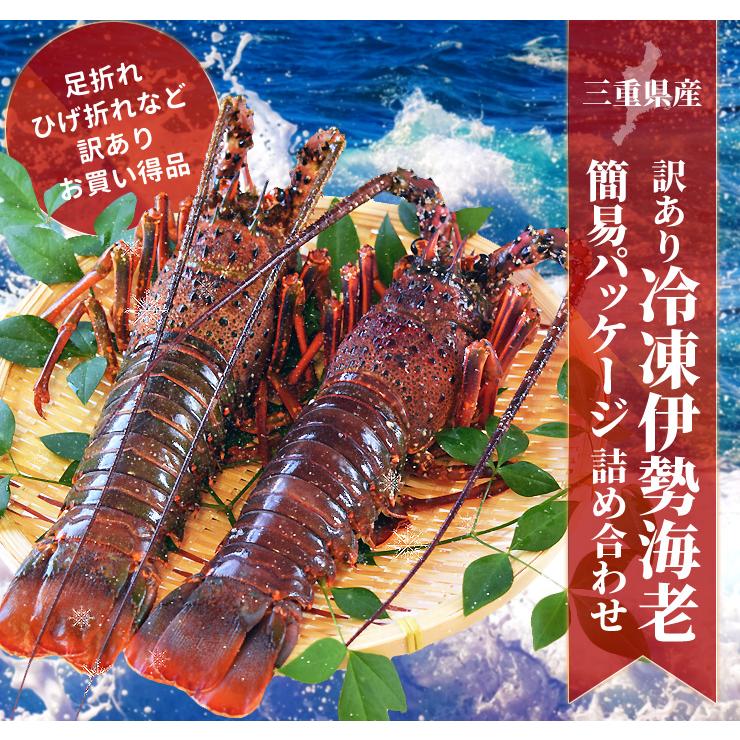 伊勢海老 三重県 伊勢志摩産 2尾で約500g 送料無料 刺身用 瞬間