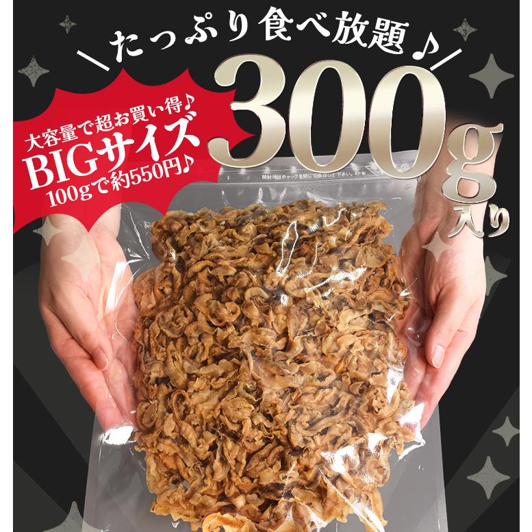 ほたて貝ひも 焼き おつまみ 北海道産 国産 ソフトタイプ ３００ｇ 大容量 お得サイズ 帆立 貝紐 珍味 肴 チャック付袋入 | ブランド登録なし | 07