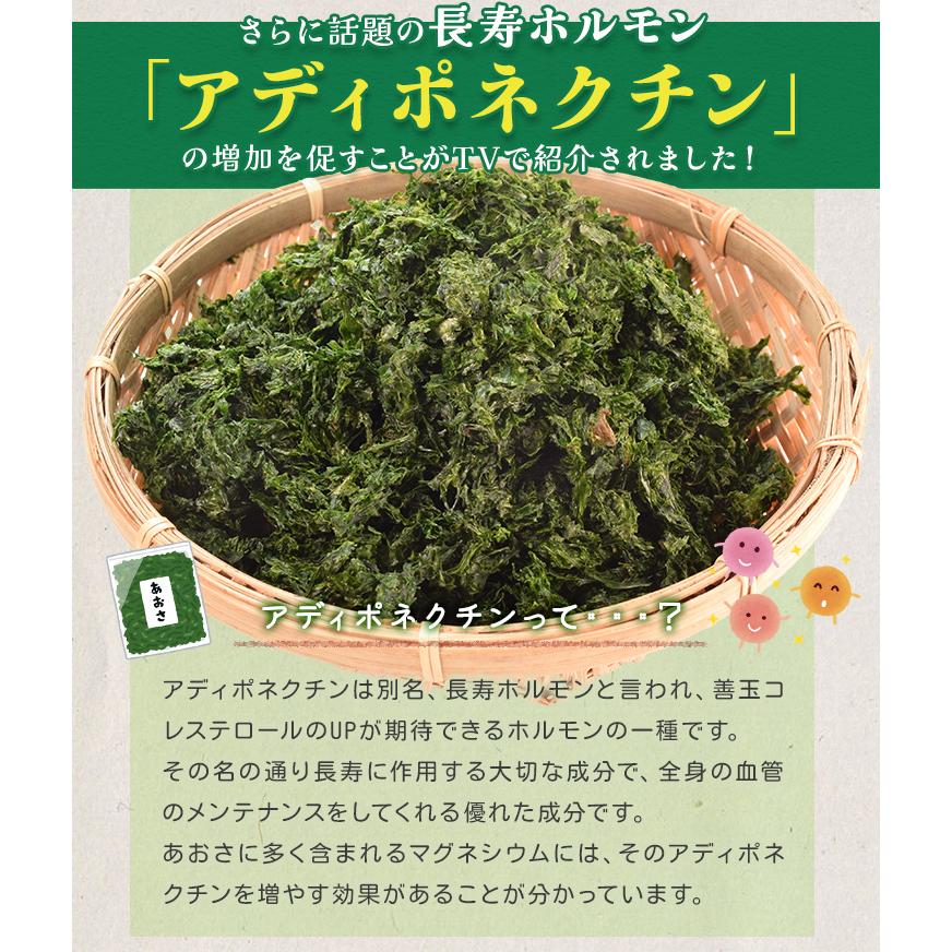 あおさのり 90g 産地厳選 三重県産 愛知県産 海藻 アオサ 海苔