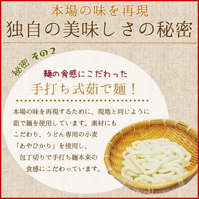 亀山 みそ焼きうどん オリジナルパッケージ １６食 （２食×８ セット ） 送料無料 特製 味噌 たれ付 秘密のケンミンshow 通販 味噌焼きうどん お土産 | ブランド登録なし | 05