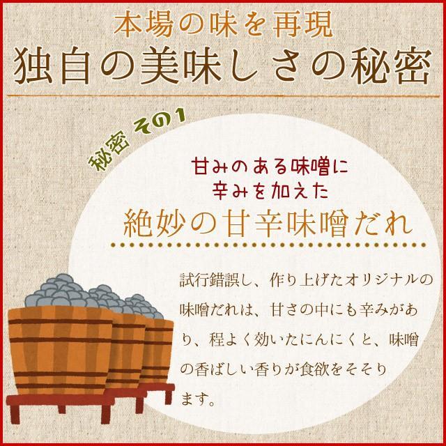 亀山 みそ焼きうどん オリジナルパッケージ ２０食 （２食×１０ セット ） 送料無料 特製 味噌 たれ付 秘密のケンミンshow 通販 味噌焼きうどん お土産 | ブランド登録なし | 04