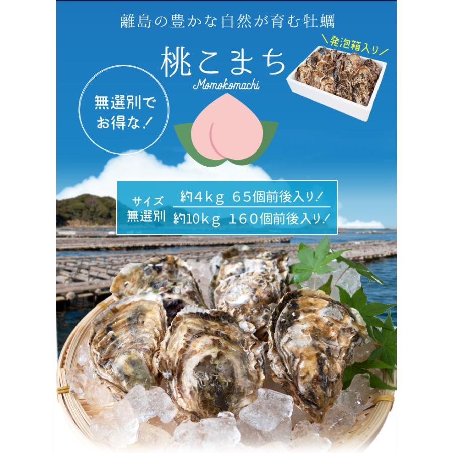 桃こまち 牡蠣 サイズ 無選別 ４ｋｇ（６５個前後入り) 殻付き 牡蛎 発泡箱入り 加熱用 （牡蛎ナイフ・片手用軍手付き） 海鮮バーベキュー