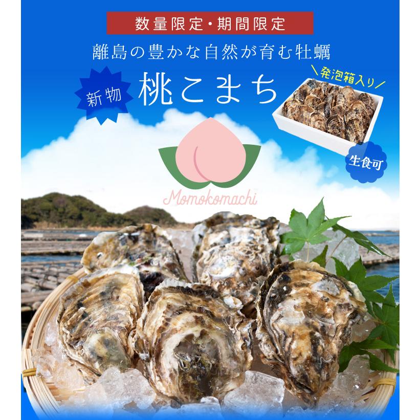 桃こまち 牡蠣 ３０個入 殻付き牡蠣 生食可（牡蠣ナイフ・片手用軍手付き）三重県鳥羽の離島 桃取の希少牡蛎 浦村 発泡箱入り 父の日 ギフト｜isesima｜02