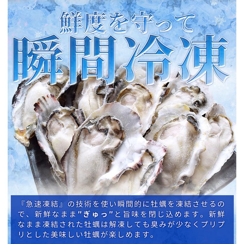 牡蠣 旬凍 生牡蠣 ハーフシェル １０個 生食可 送料無料 殻剥き不要 海鮮 バーベキュー 牡蛎｜isesima｜05