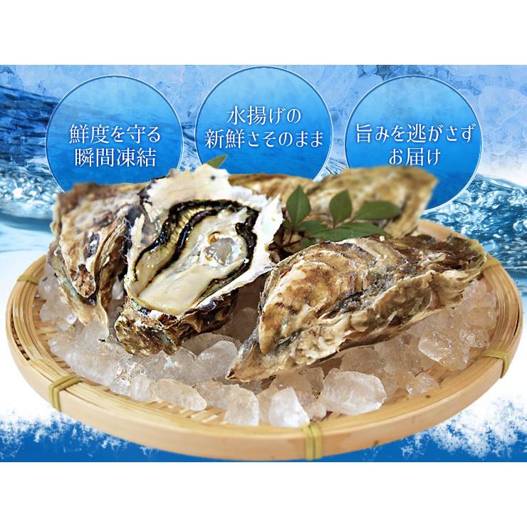 牡蠣 旬凍 生牡蠣 ハーフシェル 10個 生食可 送料無料 殻剥き