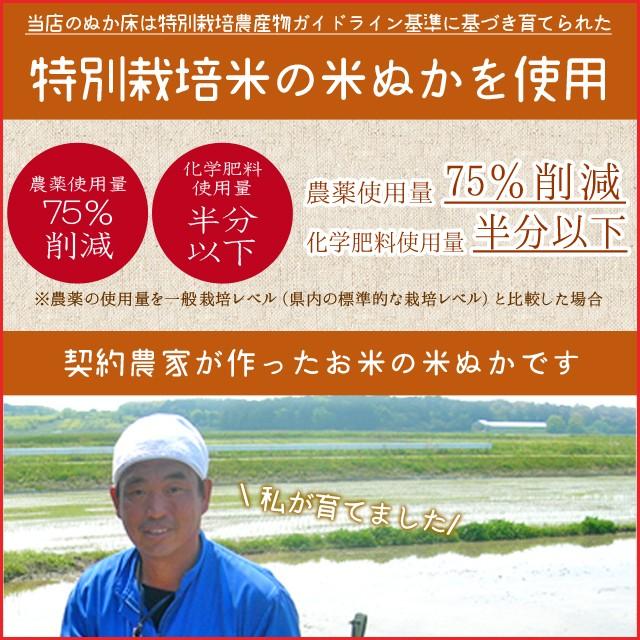バーゲンセール ぬか床 セット 送料無料 簡単にぬか漬けが作れる セット ぬか床使用時約２ｋｇ分 三重県産特別栽培米の新鮮な米ぬか を使用したこだわりのぬかどこ セット 購買