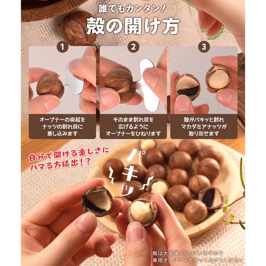 マカダミアナッツ 殻付き ５００ｇ 素焼き 専用オープナー付 大容量 ロースト マカデミアナッツ | ブランド登録なし | 11