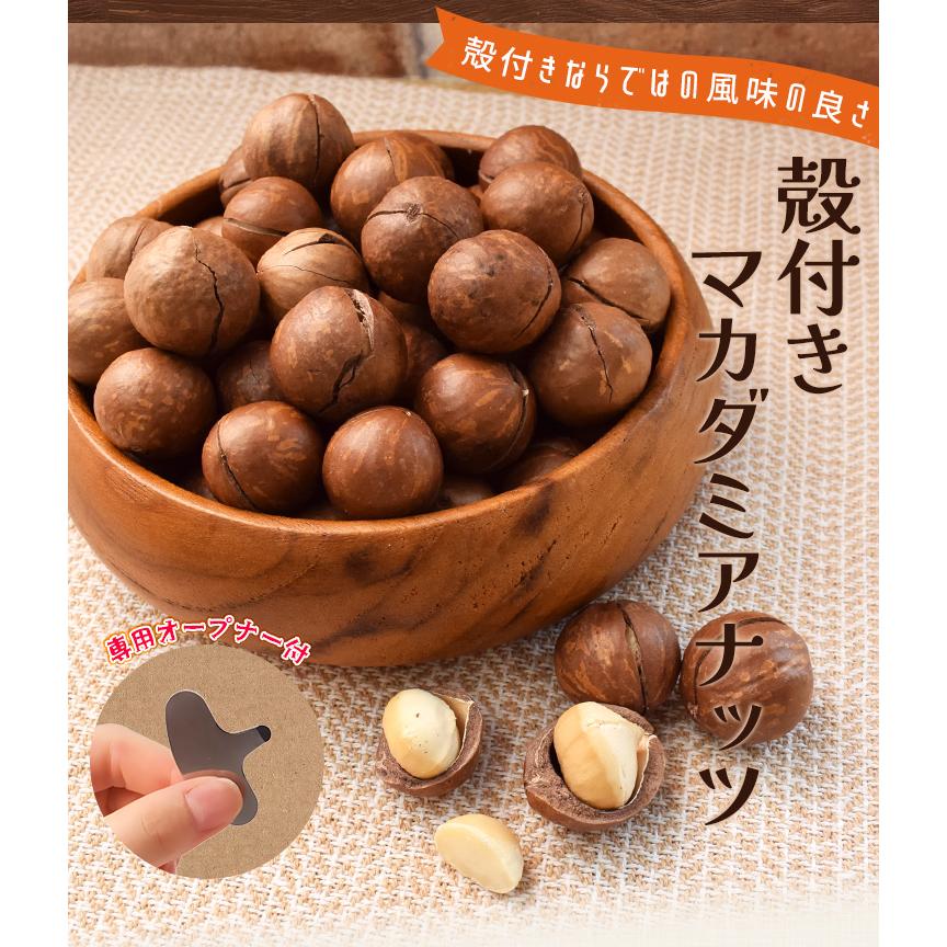 マカダミアナッツ 殻付き ５００ｇ 素焼き 専用オープナー付 大容量 ロースト マカデミアナッツ | ブランド登録なし | 01