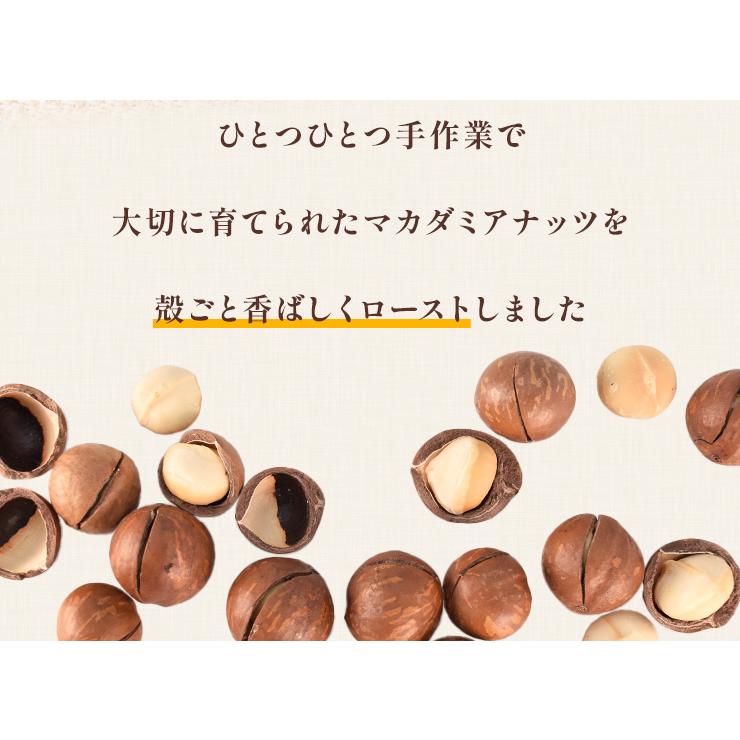 マカダミアナッツ 殻付き ５００ｇ 素焼き 専用オープナー付 大容量 ロースト マカデミアナッツ | ブランド登録なし | 02