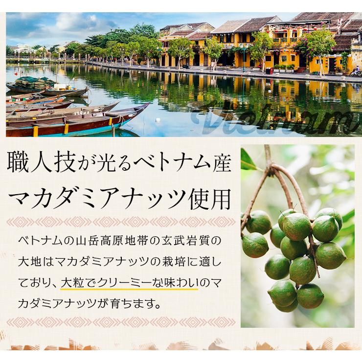 マカダミアナッツ 殻付き ５００ｇ 素焼き 専用オープナー付 大容量 ロースト マカデミアナッツ | ブランド登録なし | 03