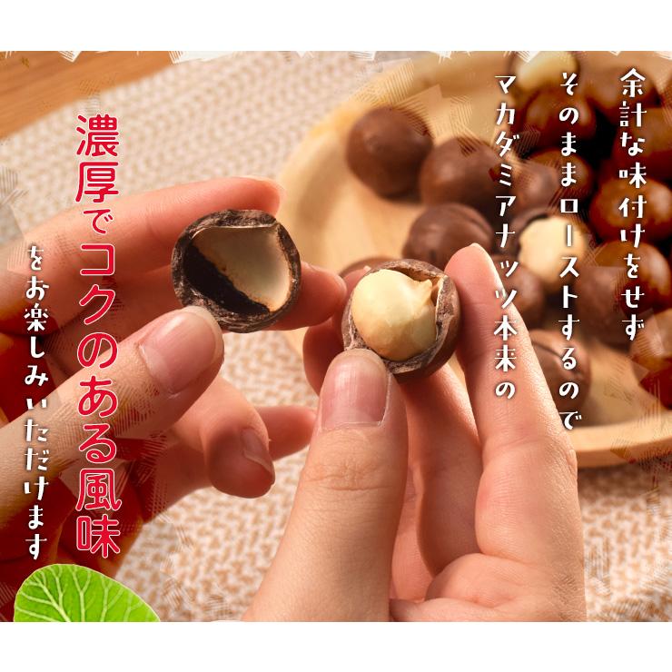 マカダミアナッツ 殻付き ５００ｇ 素焼き 専用オープナー付 大容量 ロースト マカデミアナッツ | ブランド登録なし | 04
