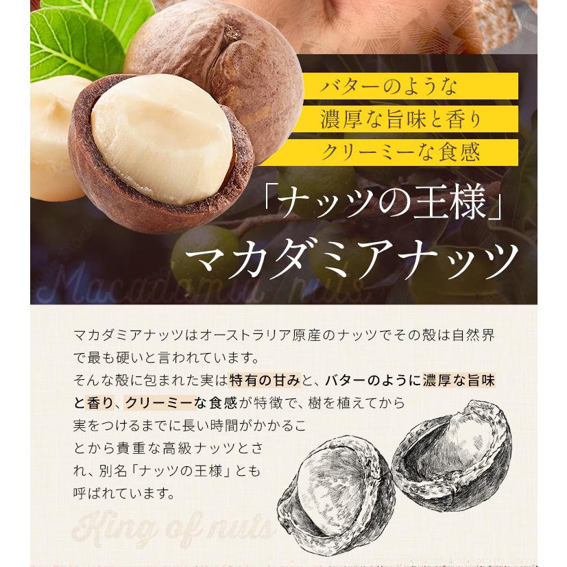 マカダミアナッツ 殻付き ５００ｇ 素焼き 専用オープナー付 大容量 ロースト マカデミアナッツ | ブランド登録なし | 05