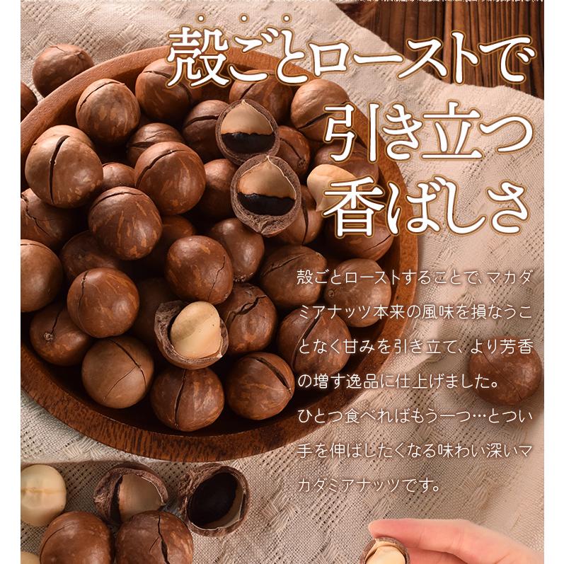 マカダミアナッツ 殻付き ５００ｇ 素焼き 専用オープナー付 大容量 ロースト マカデミアナッツ | ブランド登録なし | 06