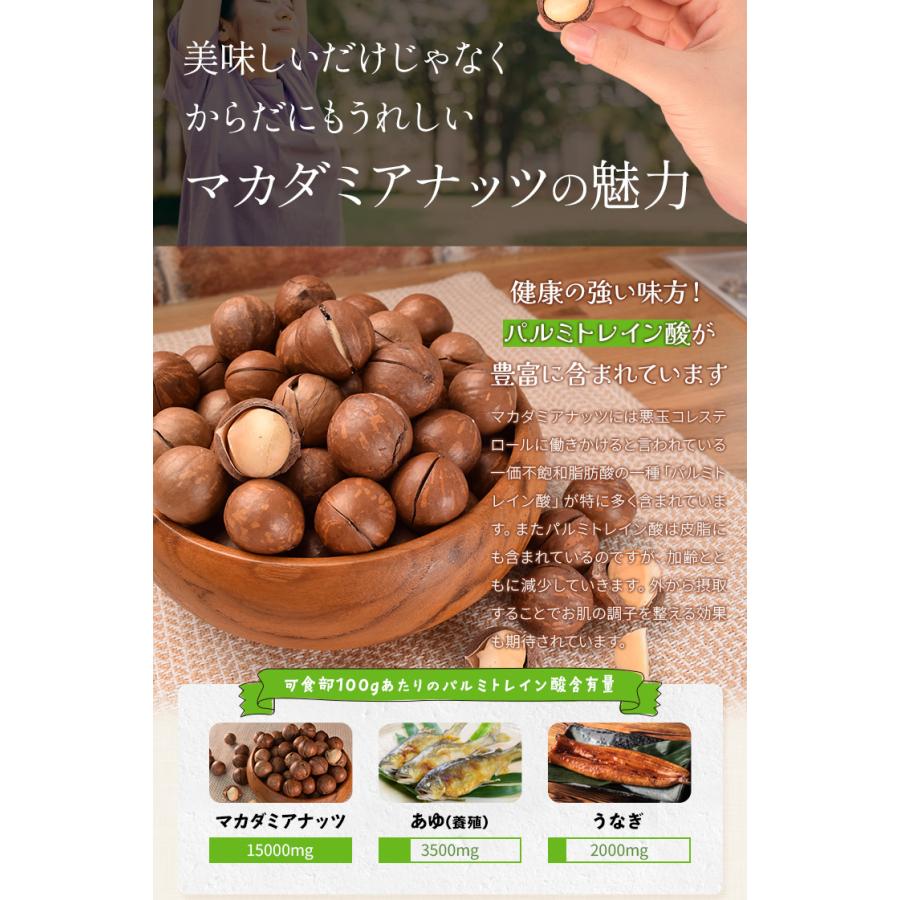 マカダミアナッツ 殻付き ５００ｇ 素焼き 専用オープナー付 大容量 ロースト マカデミアナッツ | ブランド登録なし | 07