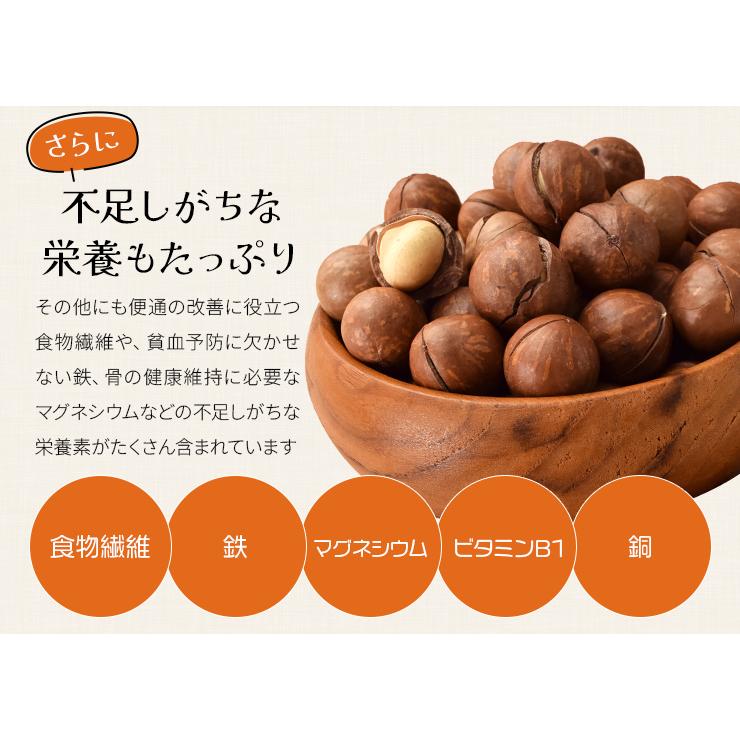 マカダミアナッツ 殻付き ５００ｇ 素焼き 専用オープナー付 大容量 ロースト マカデミアナッツ | ブランド登録なし | 08