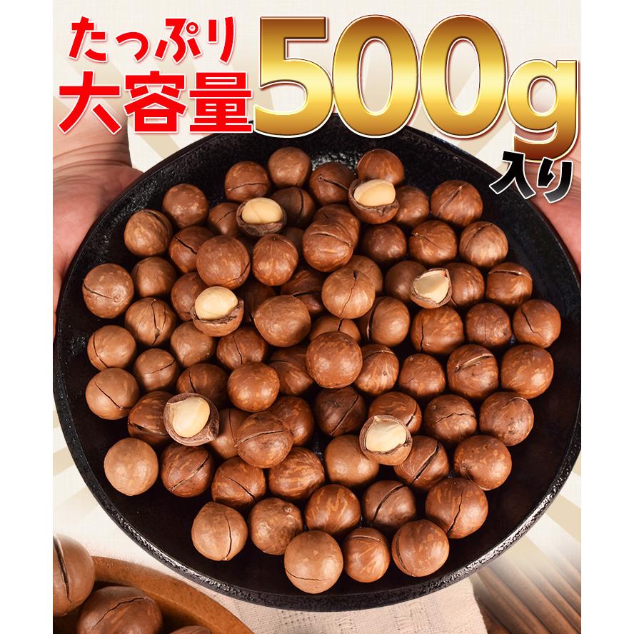 マカダミアナッツ 殻付き ５００ｇ 素焼き 専用オープナー付 大容量 ロースト マカデミアナッツ | ブランド登録なし | 09