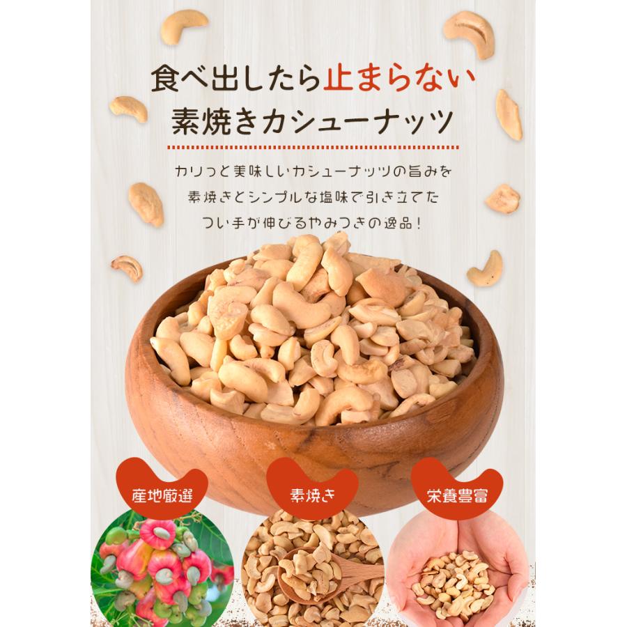 カシューナッツ 割れ 素焼き 有塩 ５００ｇ 塩味 大容量 ロースト 焙煎 | ブランド登録なし | 02