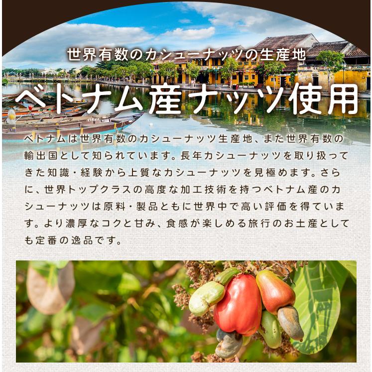 カシューナッツ 割れ 素焼き 有塩 ５００ｇ 塩味 大容量 ロースト 焙煎 | ブランド登録なし | 06