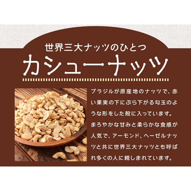 カシューナッツ 割れ 素焼き 有塩 ５００ｇ 塩味 大容量 ロースト 焙煎 | ブランド登録なし | 07