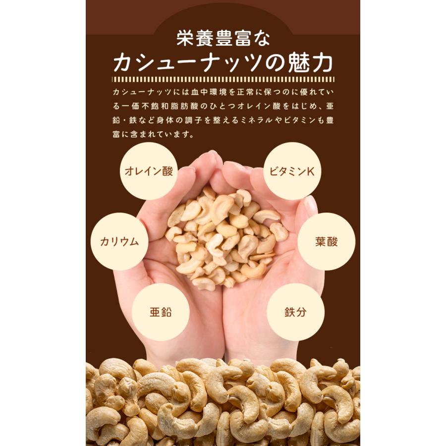 カシューナッツ 割れ 素焼き 有塩 ５００ｇ 塩味 大容量 ロースト 焙煎 | ブランド登録なし | 08