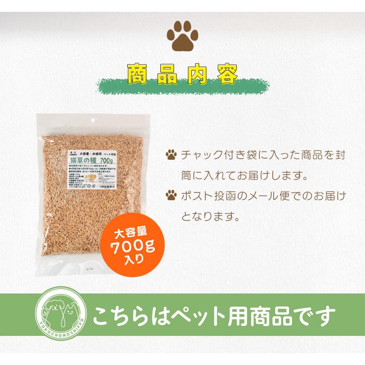 猫草 種 ７００ｇ 猫 犬 燕麦 オーツ麦 愛猫 愛犬 ペット 大容量 無農薬 農薬不使用 毛玉排出 便通改善 ストレス解消 | ブランド登録なし | 11