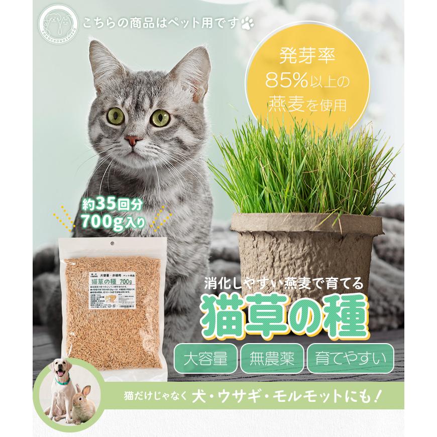 猫草 種 ７００ｇ 猫 犬 燕麦 オーツ麦 愛猫 愛犬 ペット 大容量 無農薬 農薬不使用 毛玉排出 便通改善 ストレス解消 | ブランド登録なし | 01