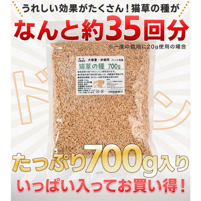 猫草 種 ７００ｇ 猫 犬 燕麦 オーツ麦 愛猫 愛犬 ペット 大容量 無農薬 農薬不使用 毛玉排出 便通改善 ストレス解消 | ブランド登録なし | 09
