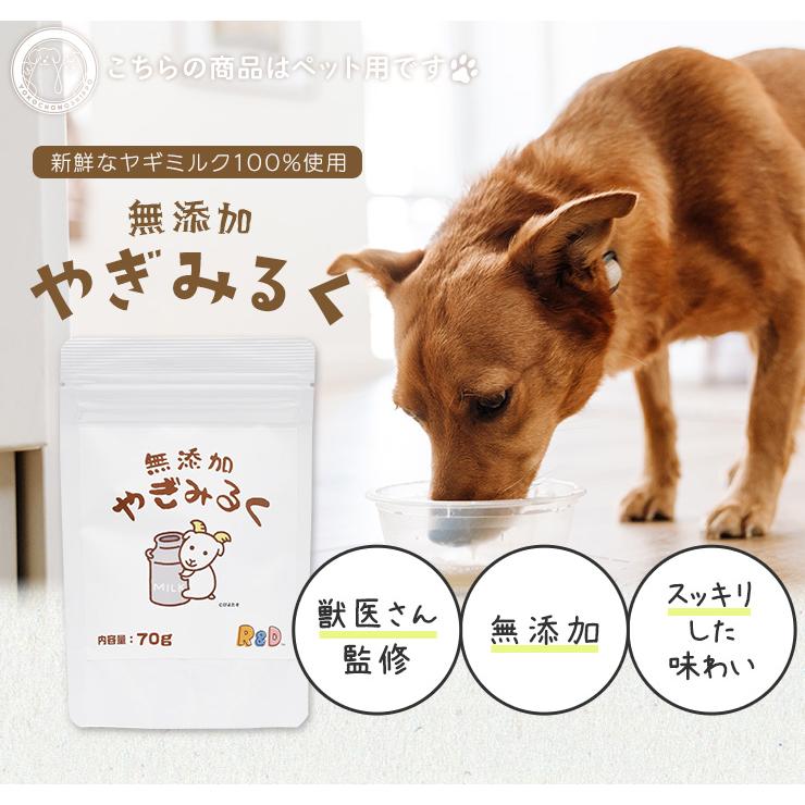 【賞味期限2026年5月までのため訳ありセール】無添加やぎみるく ７０ｇ 粉末タイプ ペット 水分補給 犬 猫 愛猫・愛犬用 | ブランド登録なし | 01