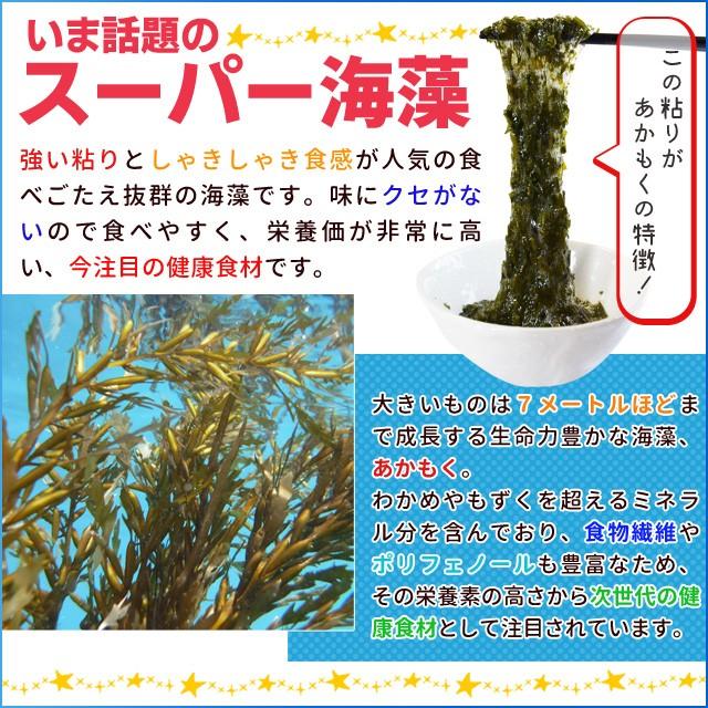 離島 あかもく ７０ｇ×２０パック 伊勢志摩の離島で水揚げされたアカモク 送料無料 アカモク ギバサ 小分けパック 海藻 湯通し刻み加工済 瞬間冷凍｜isesima｜04