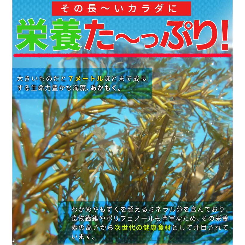 離島 あかもく お得な大容量チューブタイプ 180g×5パック