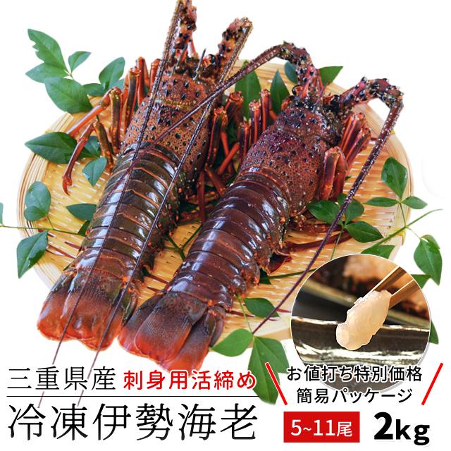 三重県産 伊勢海老 詰合せ 5尾〜11尾 で約2kg 送料無料 刺身用