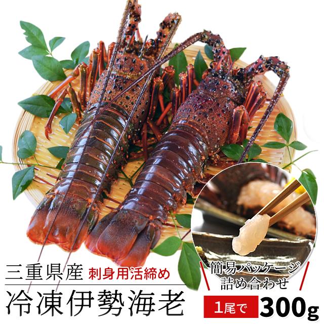 三重県産 伊勢海老詰合せ 1尾で約300g 送料無料 刺身用瞬間
