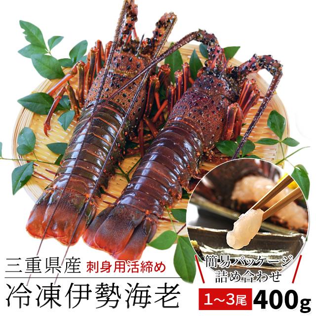 三重県産 伊勢海老詰合せ 1〜3尾で約400g 送料無料 刺身用