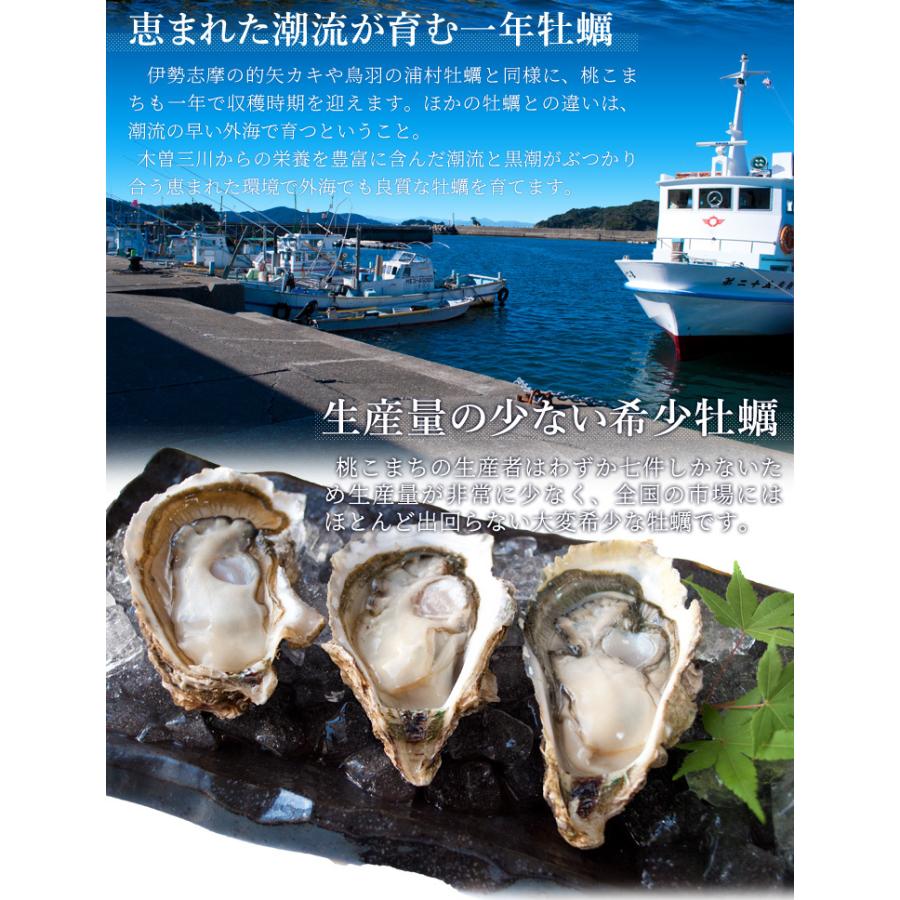 牡蠣 カンカン焼き セット サイズ無選別 ２ｋｇ（２５〜３０個前後入） 冷凍 送料無料 桃こまち ミニ缶入（牡蠣ナイフ・片手用軍手付き）旬凍桃こまち | ブランド登録なし | 07