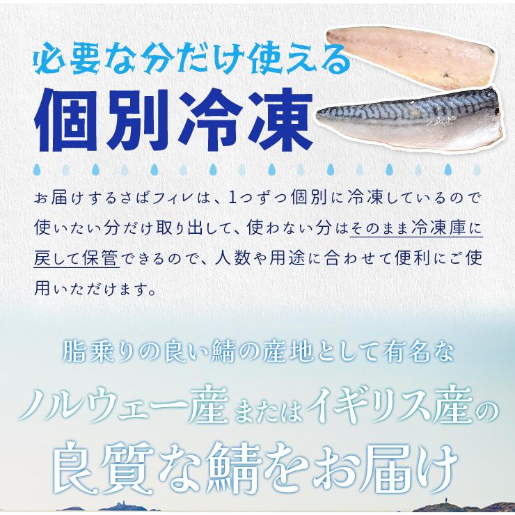 さば フィレ 骨なし 骨取り 無塩タイプ １ｋｇ 鯖 サバ 三枚おろし 大容量 | ブランド登録なし | 06