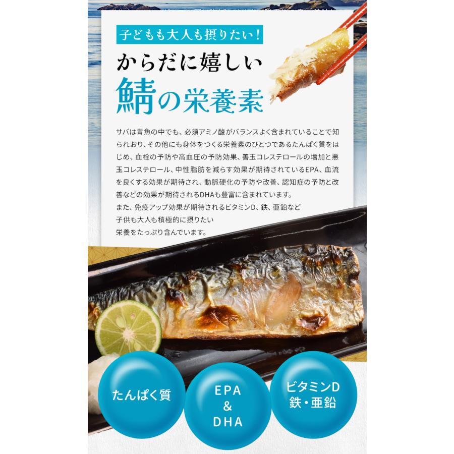 さば フィレ 骨なし 骨取り 無塩タイプ １ｋｇ 鯖 サバ 三枚おろし 大容量 | ブランド登録なし | 07