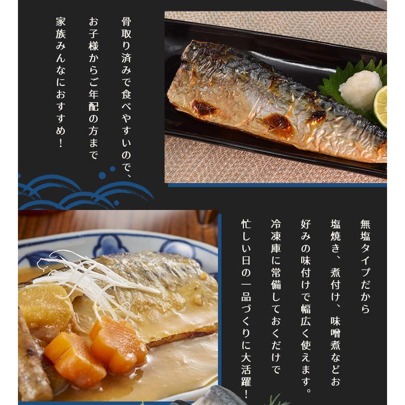 さば フィレ A品 骨なし 骨取り 無塩タイプ １ｋｇ 鯖 サバ 三枚おろし 大容量 | ブランド登録なし | 10