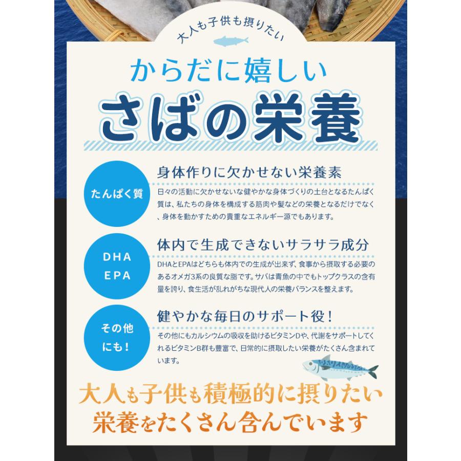 さば フィレ A品 骨なし 骨取り 無塩タイプ １ｋｇ 鯖 サバ 三枚おろし 大容量 | ブランド登録なし | 08