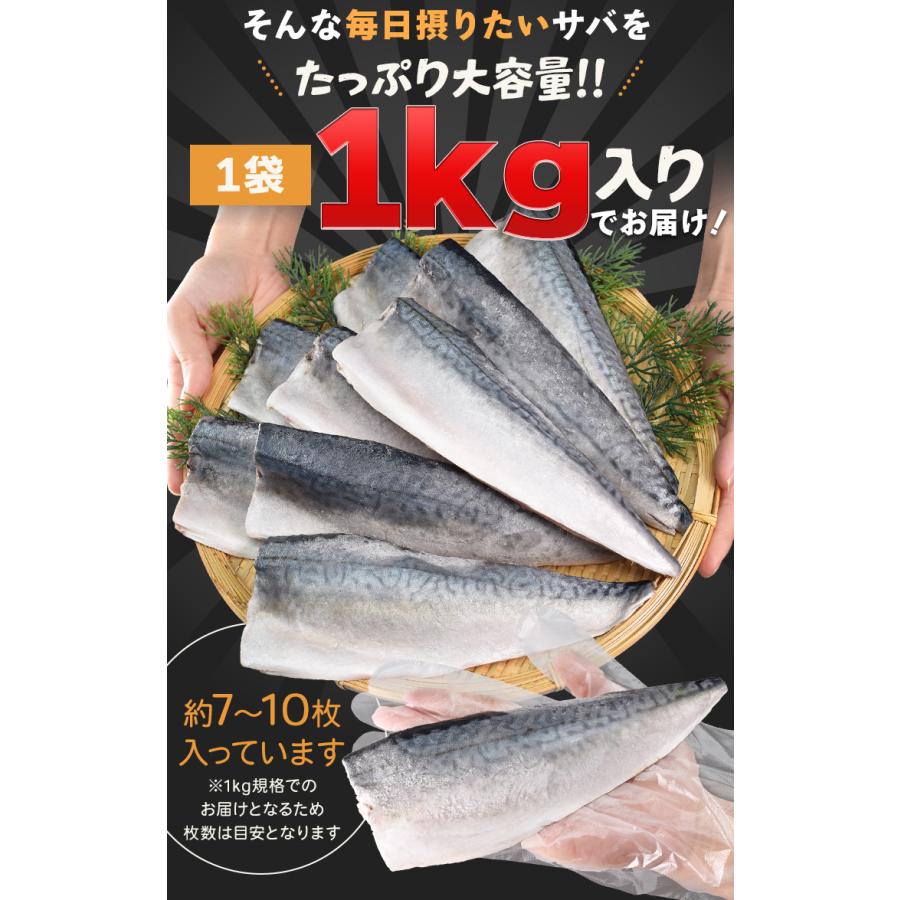 さば フィレ A品 骨なし 骨取り 無塩タイプ １ｋｇ 鯖 サバ 三枚おろし 大容量 | ブランド登録なし | 09