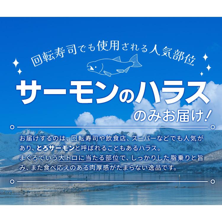 サーモン ハラス 切り落とし 刺身用 生・炙りどちらか選べる５００ｇ サイズ不揃い お値打ち品 トロ 生食 冷凍 | ブランド登録なし | 02