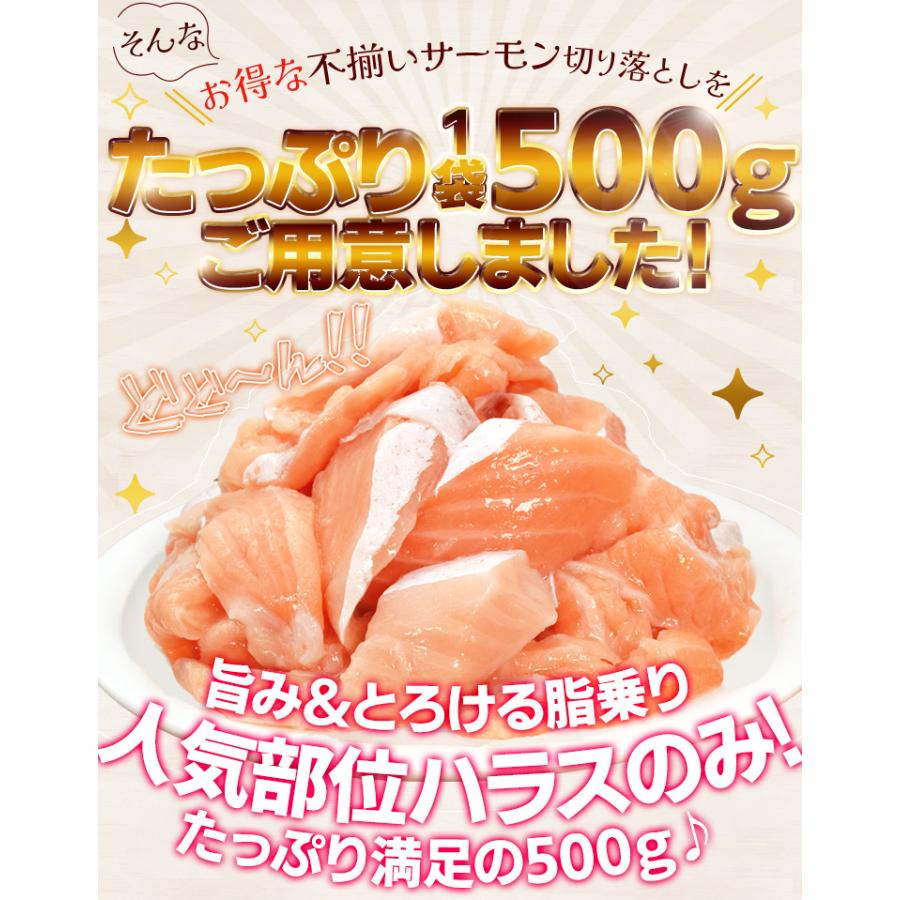 サーモン ハラス 切り落とし 刺身用 生・炙りどちらか選べる５００ｇ サイズ不揃い お値打ち品 トロ 生食 冷凍 | ブランド登録なし | 05