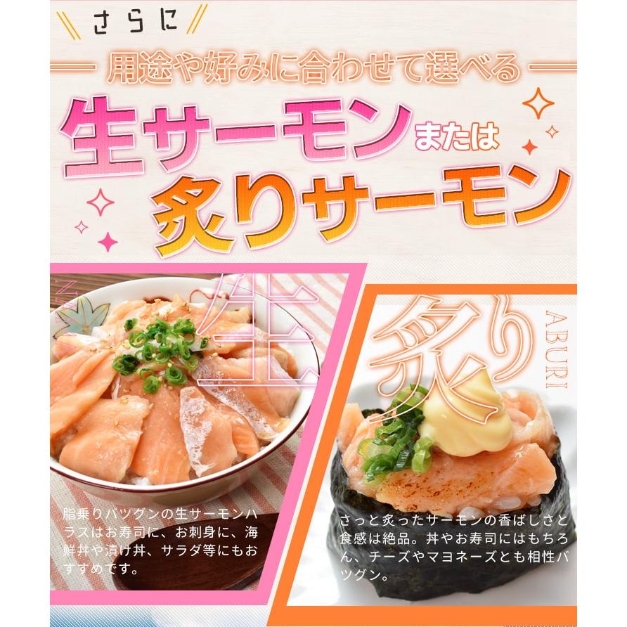 サーモン ハラス 切り落とし 刺身用 生・炙りどちらか選べる５００ｇ サイズ不揃い お値打ち品 トロ 生食 アトランティックサーモン 冷凍｜isesima｜08