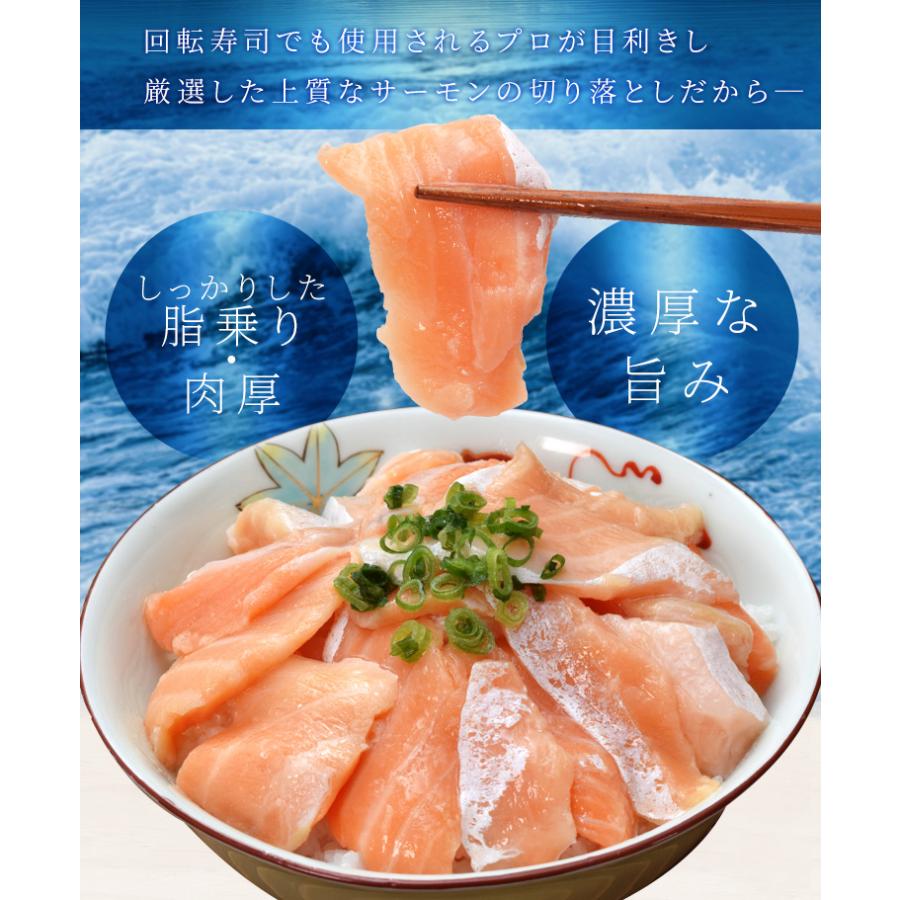 サーモン ハラス 切り落とし 刺身用 生・炙りどちらか選べる １ｋｇ（５００ｇ×２パック）サイズ不揃い トロ 生食 送料無料 冷凍 | ブランド登録なし | 03