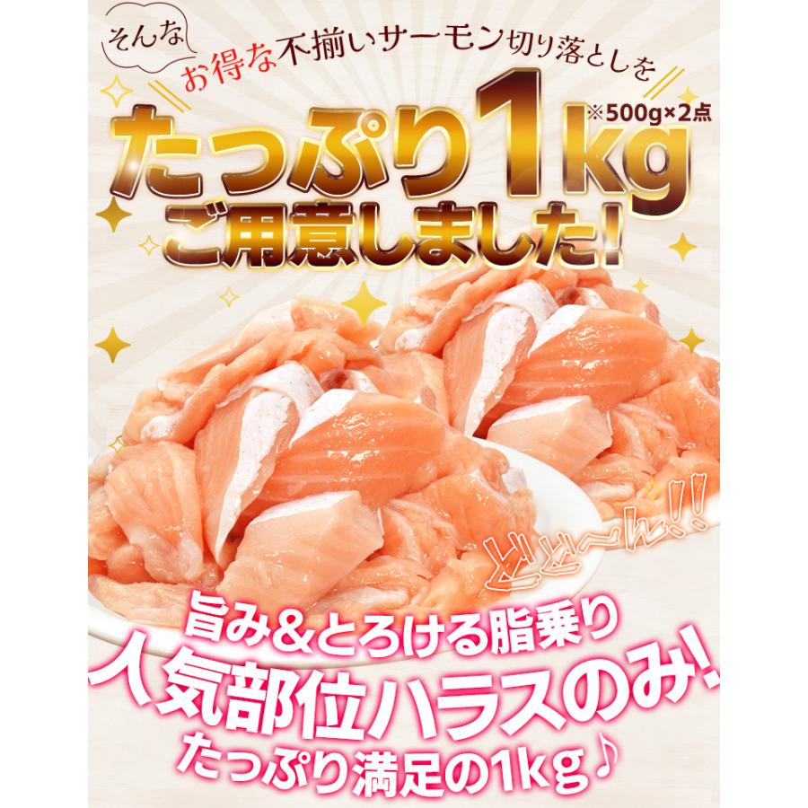 サーモン ハラス 切り落とし 刺身用 生・炙りどちらか選べる １ｋｇ（５００ｇ×２パック）サイズ不揃い トロ 生食 送料無料 冷凍 | ブランド登録なし | 05